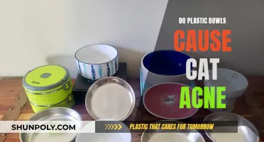 Plastic Bowls and Cat Acne: What's the Connection?