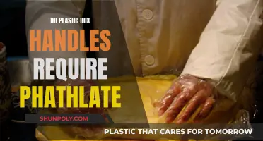 Are Phthalates in Plastic Box Handles Harmful?