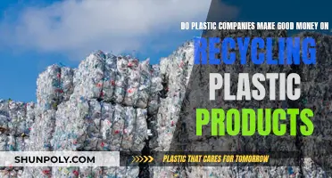 Profits from Plastic Recycling: A Look at the Business Model