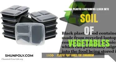 Plastic Containers: Safe for Vegetables?