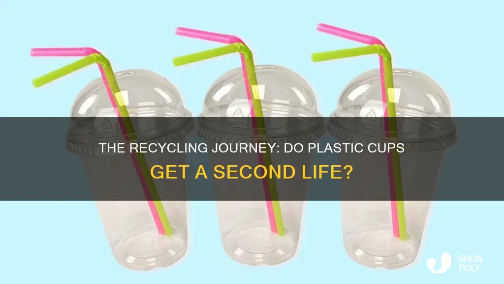 do plastic cups get recycled