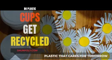 The Plastic Cup Conundrum: Are They Actually Getting Recycled?