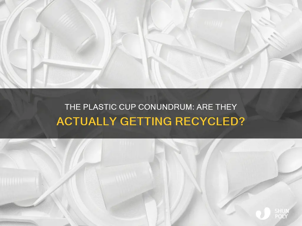 do plastic cups get recycled