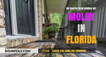 Preventing Mold on Plastic Deck Boards in Florida's Humid Climate
