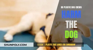 Are Plastic Dog Chews Safe for Dogs?