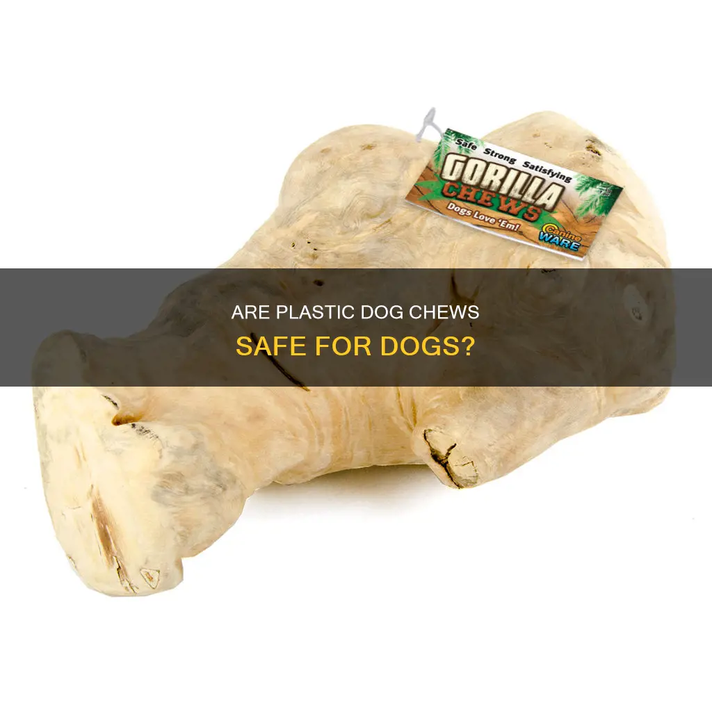 do plastic dog chews harm the dog