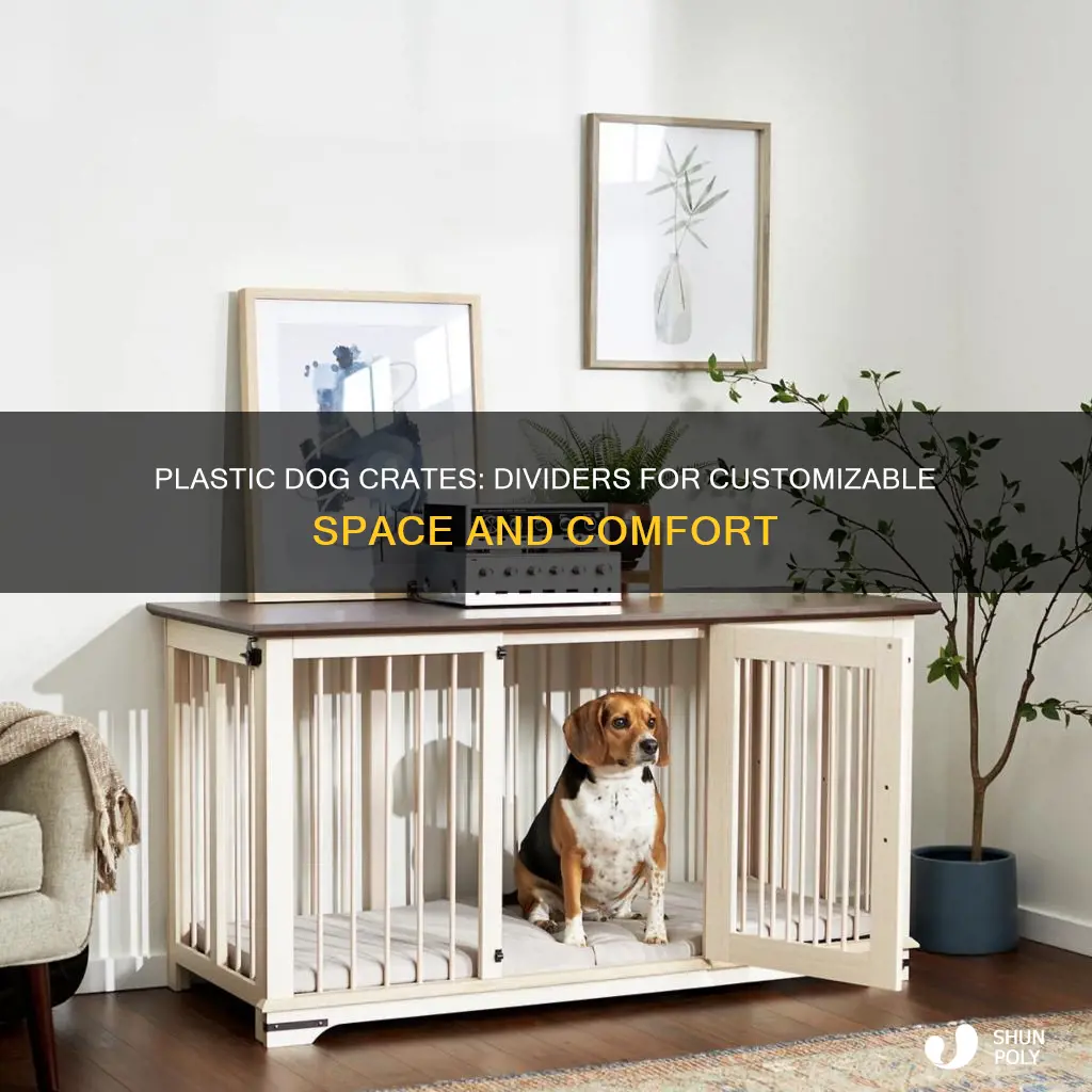 do plastic dog crates have dividers