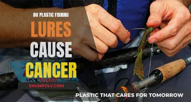 Plastic Fishing Lures: Cancer Risk or Safe Bet?