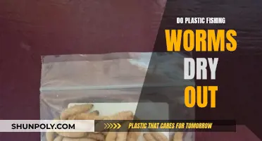 Plastic Fishing Worms: Do They Dry Out?