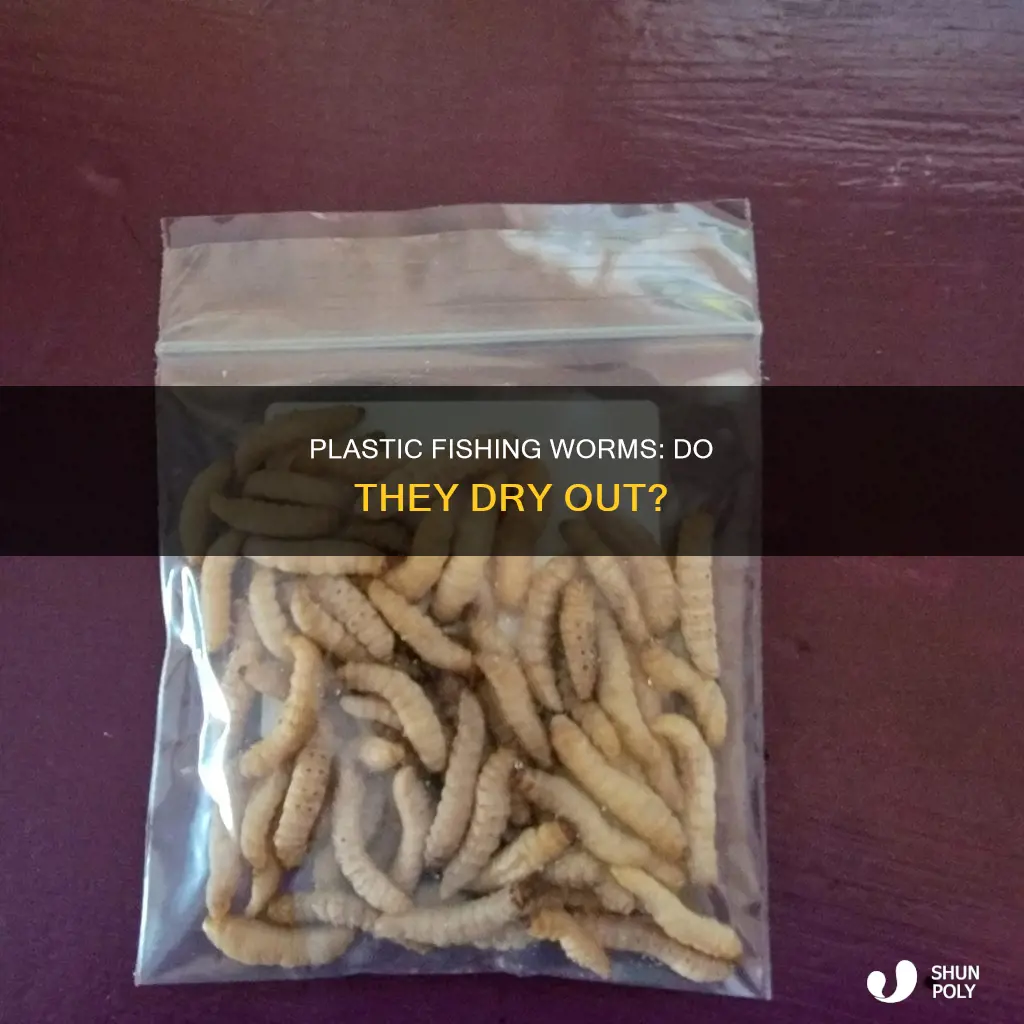 do plastic fishing worms dry out