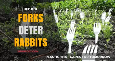Eco-Friendly Pest Control: Do Plastic Forks Really Deter Rabbits?