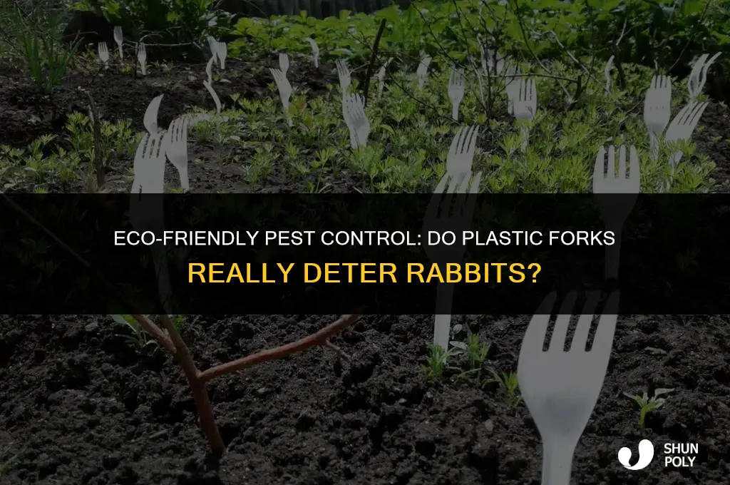 do plastic forks deter rabbits