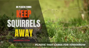 Plastic Forks: Squirrel Deterrent or Urban Myth?