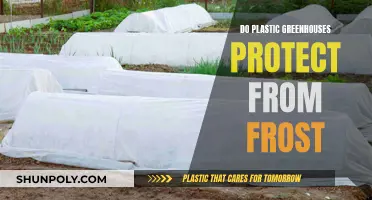 Plastic Greenhouses: Frost Protection and Benefits
