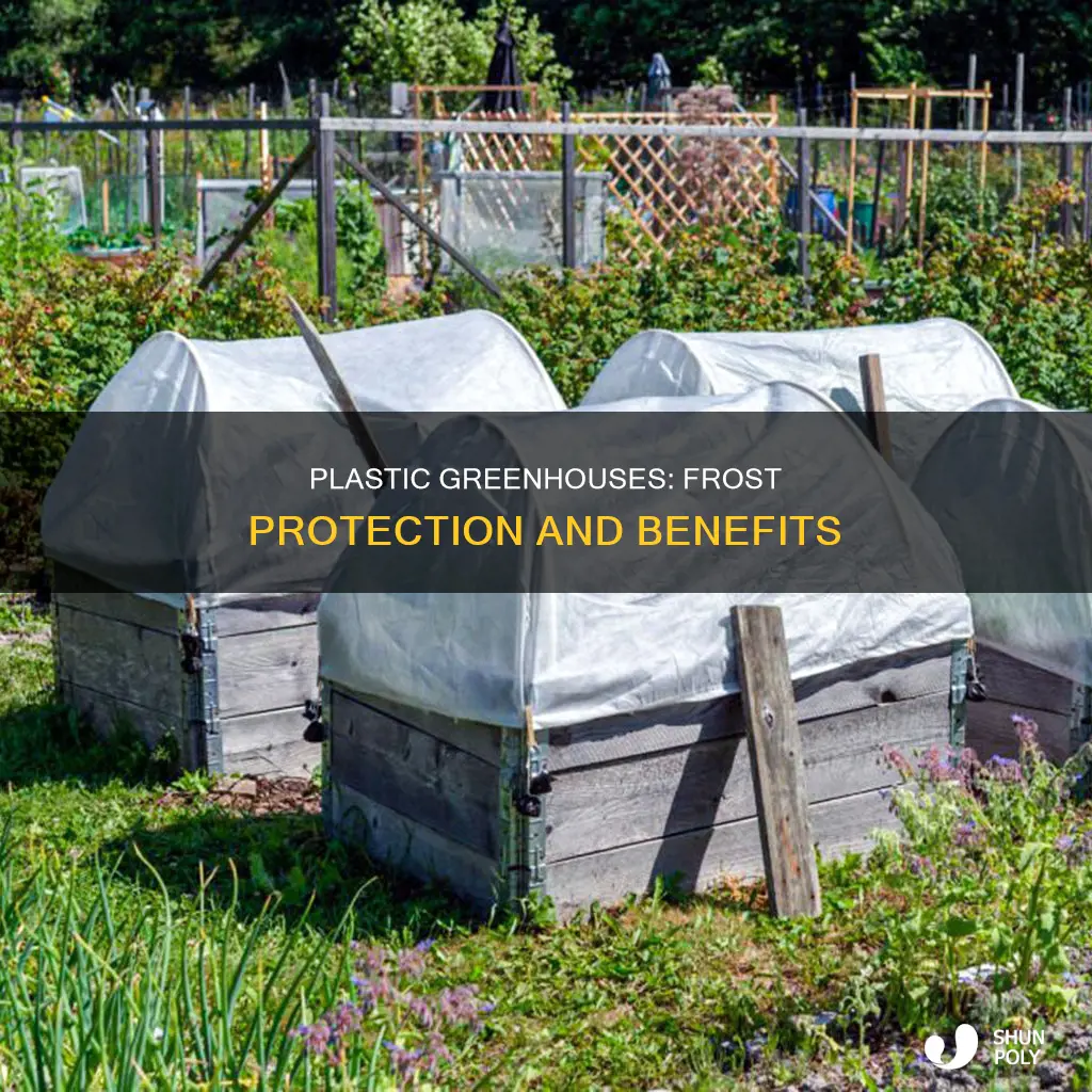 do plastic greenhouses protect from frost