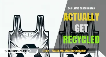 The Truth About Plastic Grocery Bags: Recycled or Landfilled?