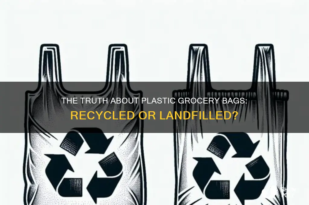 do plastic grocery bags actually get recycled