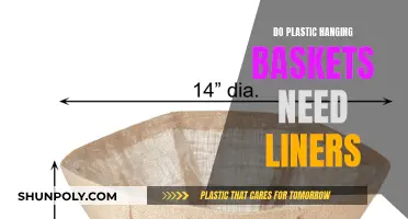 Hanging Basket Liners: Plastic Baskets and Their Needs