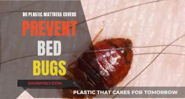 Mattress Covers: Effective Bed Bug Prevention Strategy?