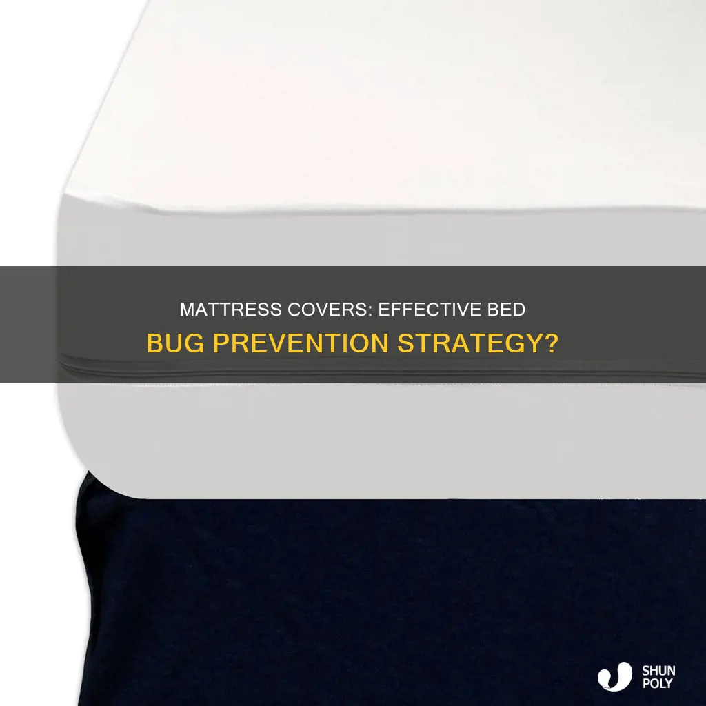 do plastic mattress covers prevent bed bugs