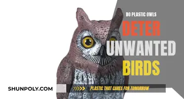 Plastic Owls: Effective Bird Deterrent or Useless Decoy?