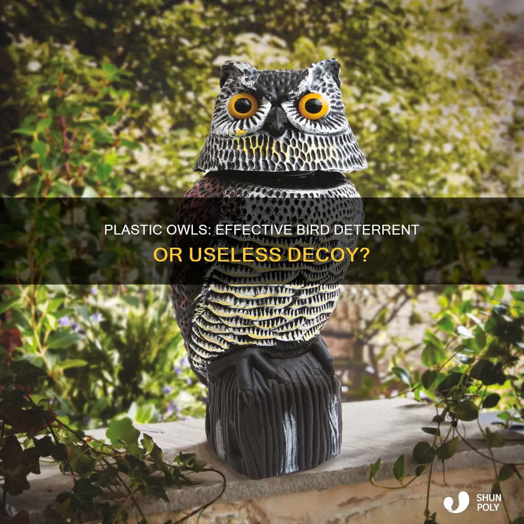 do plastic owls deter unwanted birds