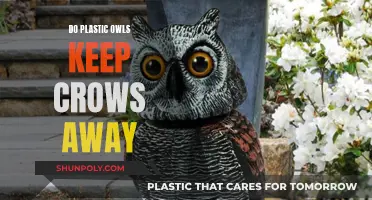 Plastic Owls: Effective Scarecrow Solution or Crow Fool's Gold?