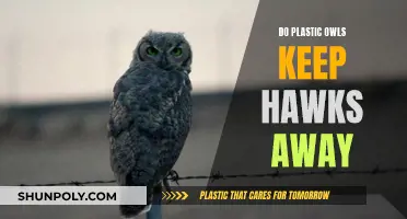 Effective Hawk Repellent: Plastic Owls, a Smart Solution?