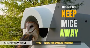 Plastic Owls: Effective Mouse Deterrent or Urban Myth?