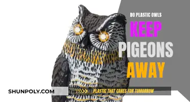 Plastic Owls: Effective Pigeon Deterrent or Useless?