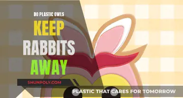 Owls' Plastic Repellent Effect on Rabbits: Examined
