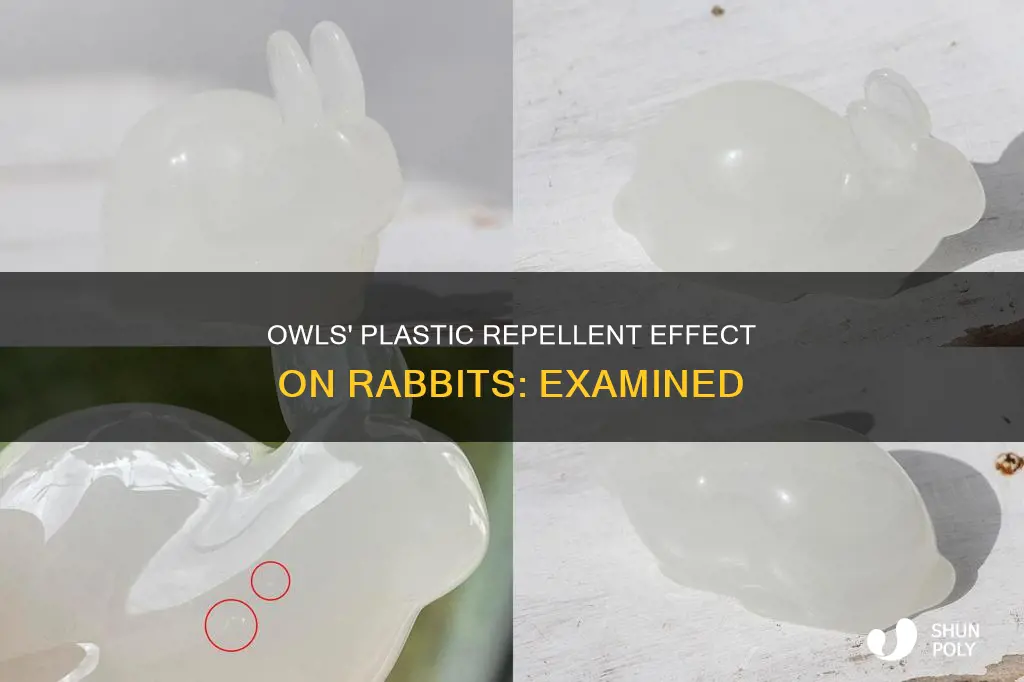 do plastic owls keep rabbits away