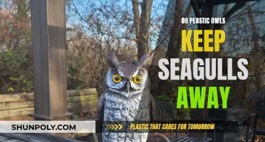 Plastic Owls: Effective Seagull Deterrent or Useless?