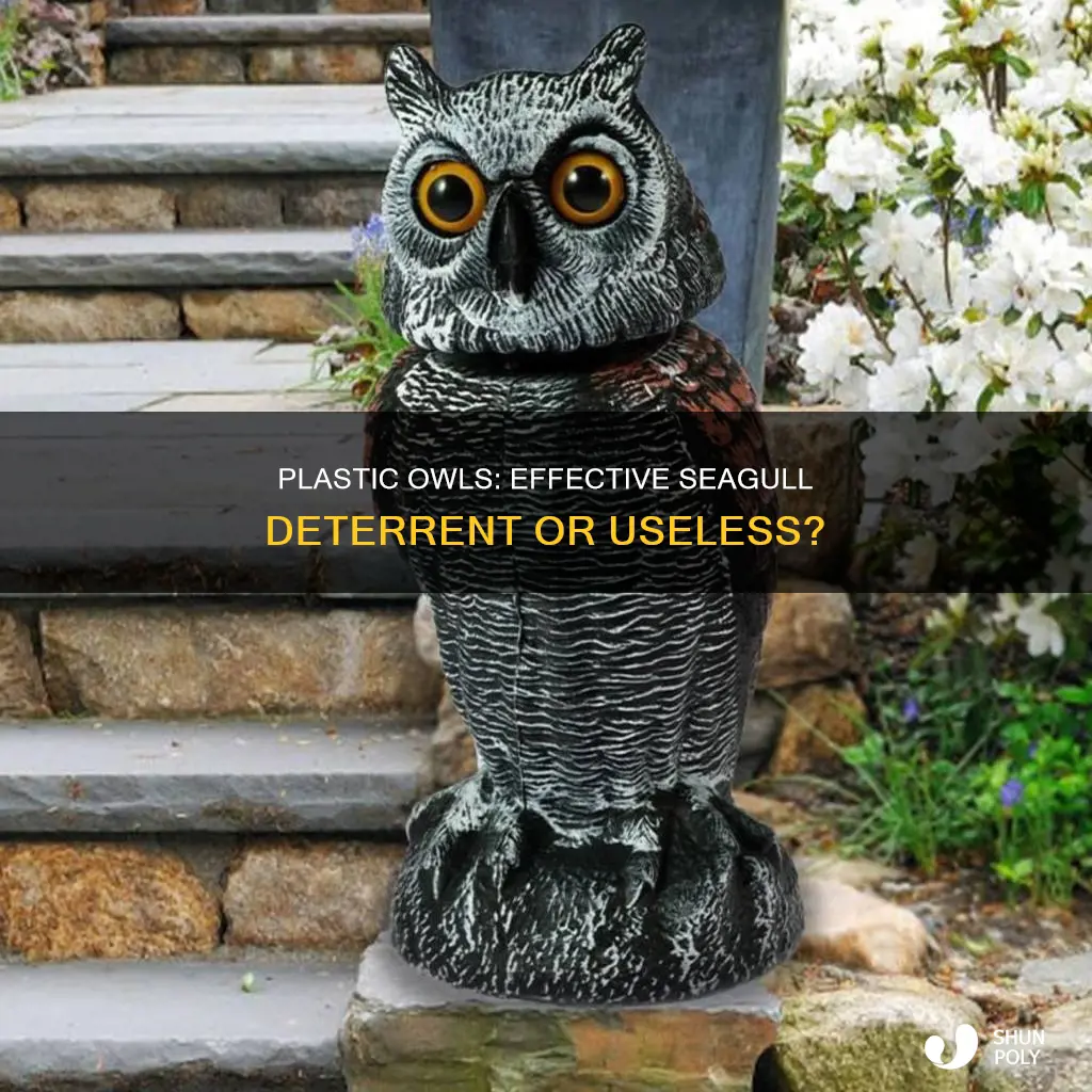 do plastic owls keep seagulls away