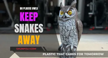 Plastic Owls: Snake Deterrent or Urban Myth?