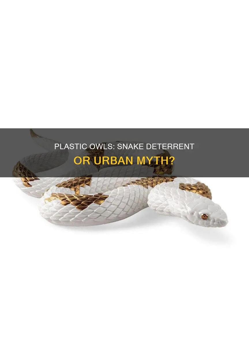do plastic owls keep snakes away