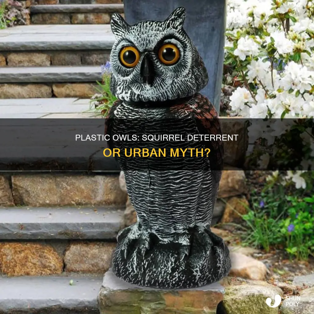 do plastic owls keep squirrels away