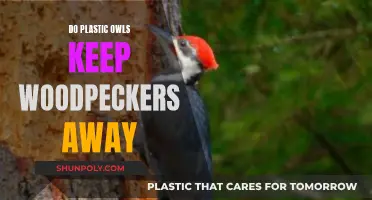 Plastic Owls: Effective Woodpecker Deterrent or Useless?