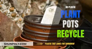 Plastic Plant Pots: Can They Be Recycled?
