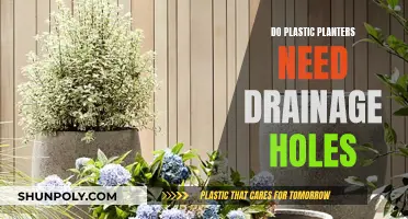 Plastic Planters: Drainage Holes Essential?