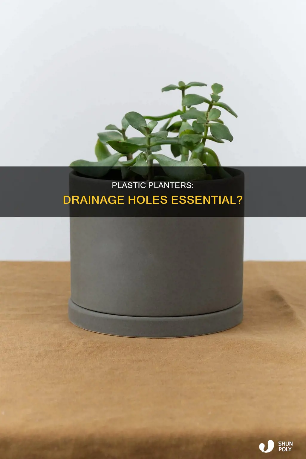 do plastic planters need drainage holes