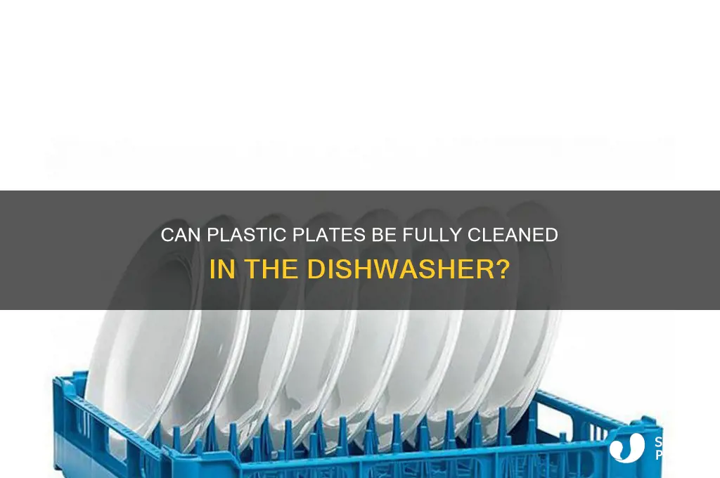 do plastic plates get clean in the dishwasher