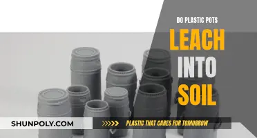 Plastic Pots: Safe or Toxic for Plants?