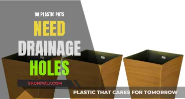 Plastic Pot Gardening: Drainage Holes Necessary?