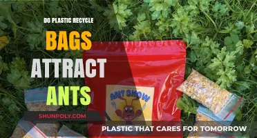 Do Recycled Plastic Bags Attract Ants? Uncovering the Truth