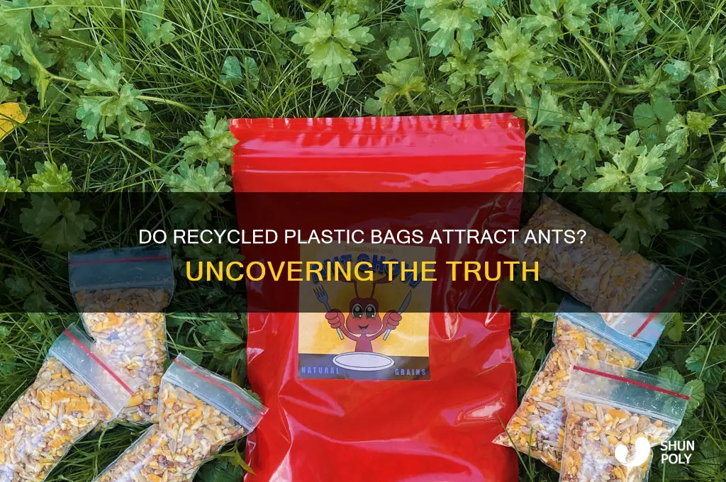 do plastic recycle bags attract ants