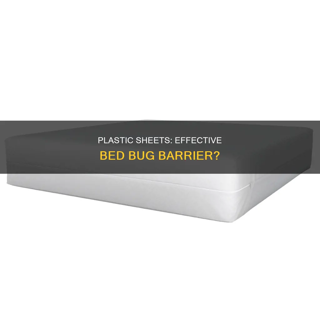 do plastic sheets stop bed bugs