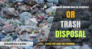 Plastic Shopping Bags: Recycle or Trash? A Disposal Guide