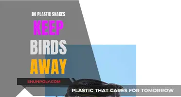 Plastic Snakes: Effective Bird Deterrent or Useless?