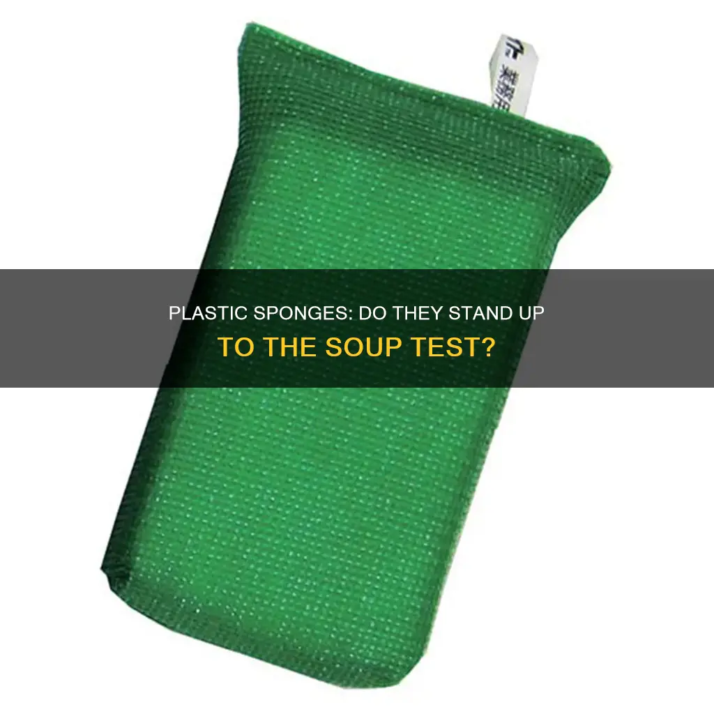 do plastic spons hold up to souo